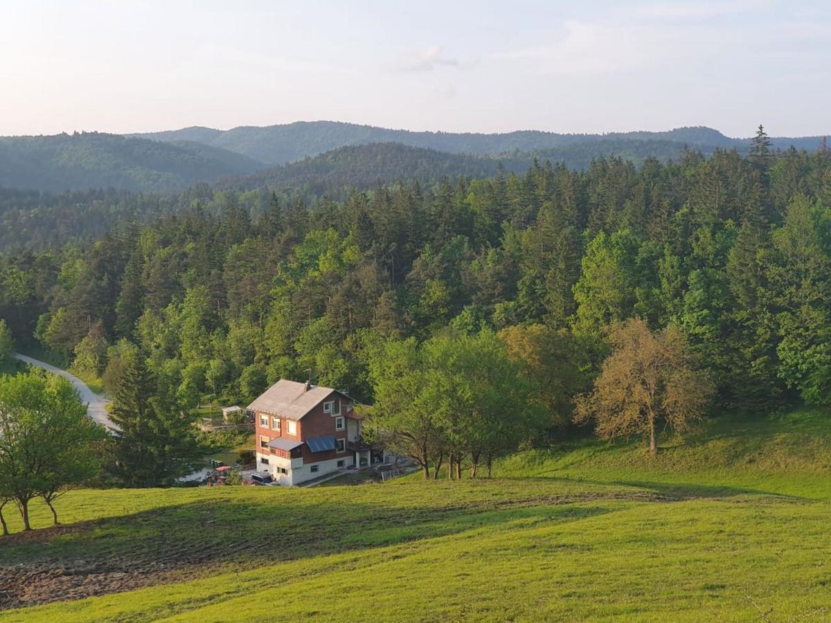 Apartma Narava Begunje pri Cerknici Exterior photo
