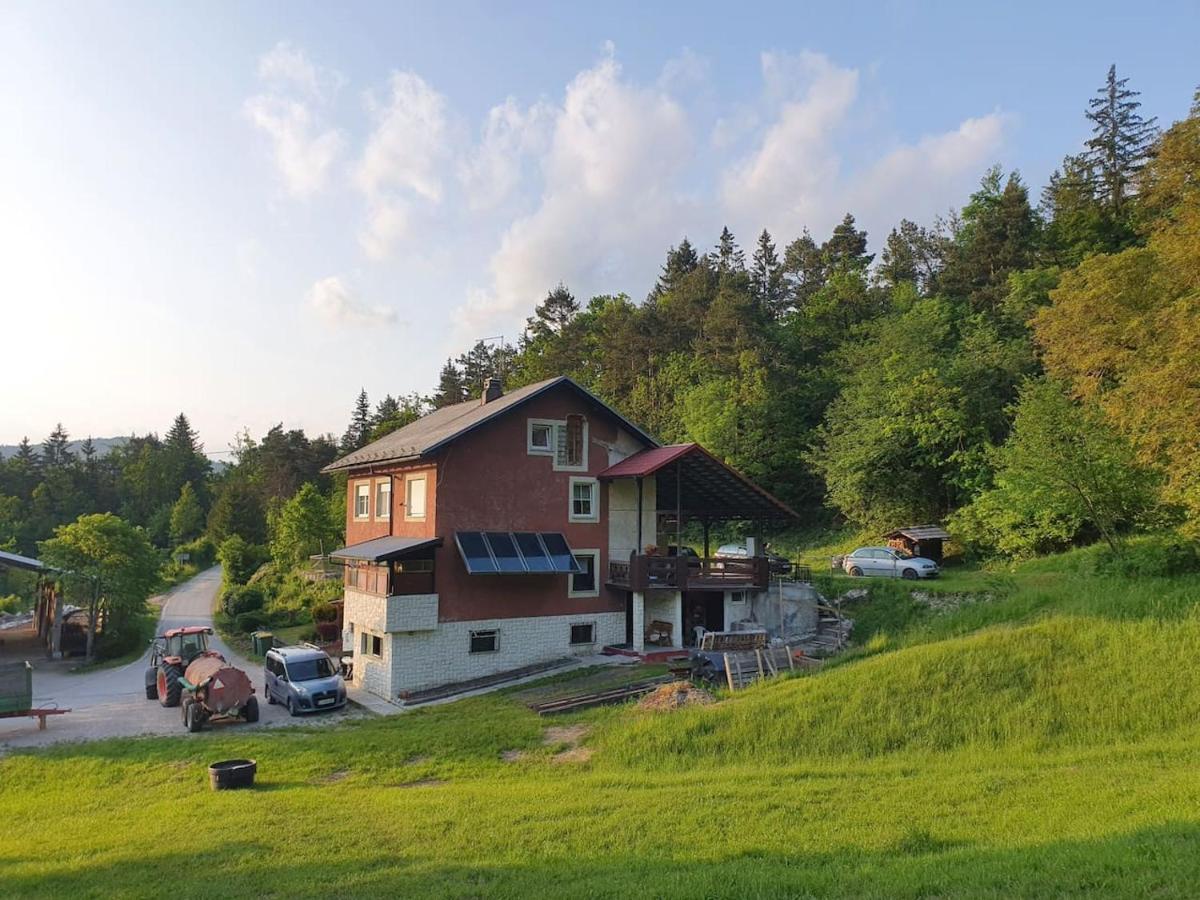 Apartma Narava Apartment Begunje pri Cerknici Exterior photo